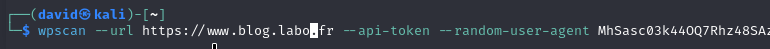 WPScan example output with random user agent